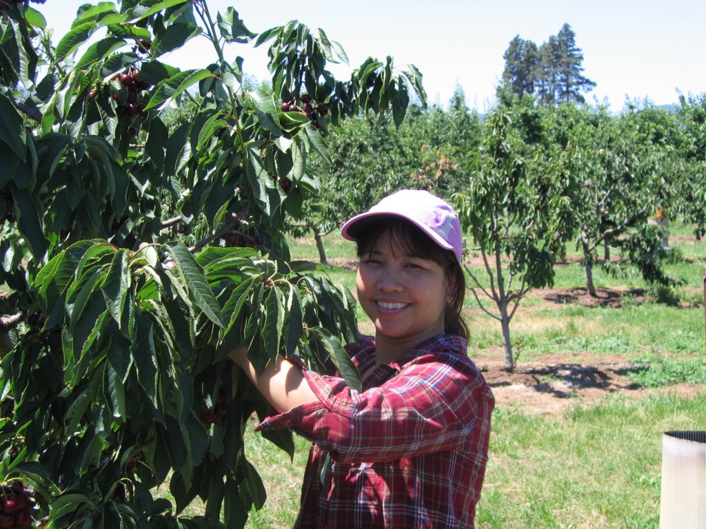 helenatthecherryfarm.jpg