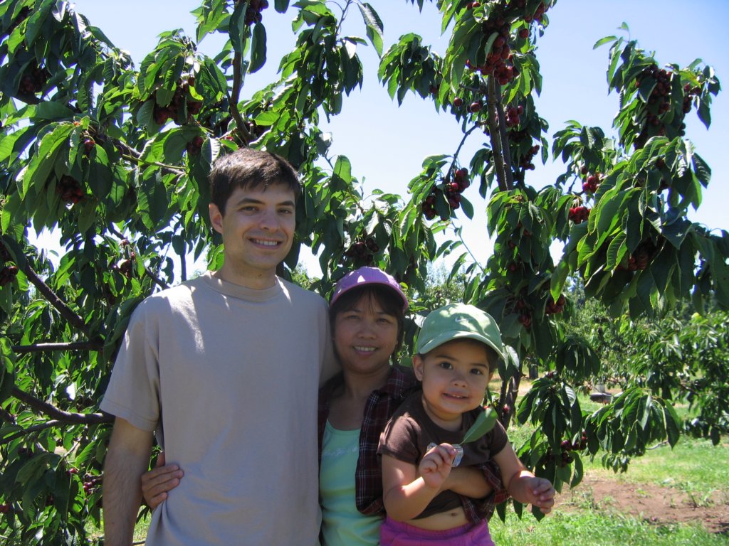 thefamilyunderthecherrytree.jpg