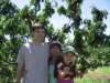 thefamilyunderthecherrytree_small.jpg