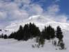 mounthooddistant_small.jpg