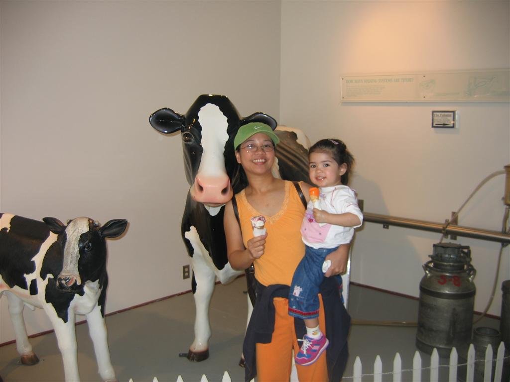 athetillamookcheesefactory.jpg
