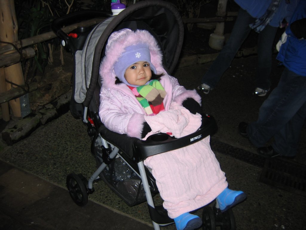 allbundledup.jpg