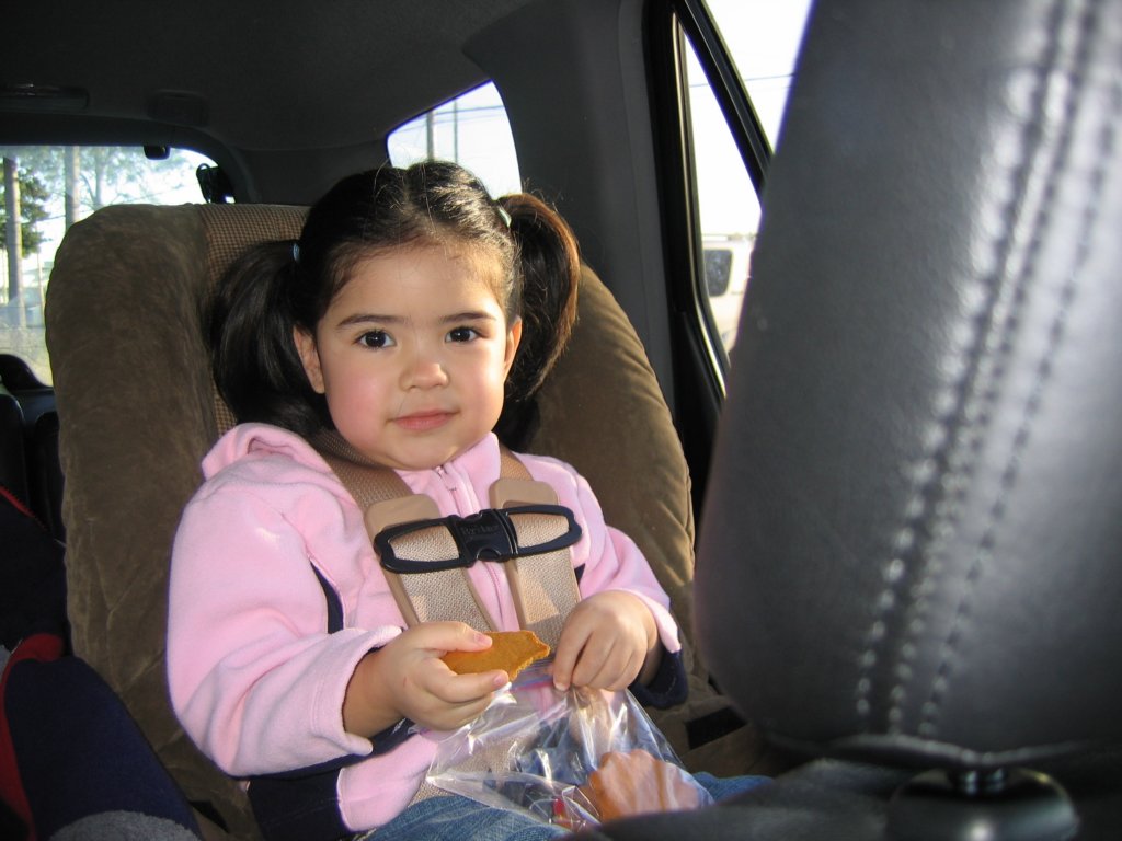 enjoyinglifeinthecarseat.jpg