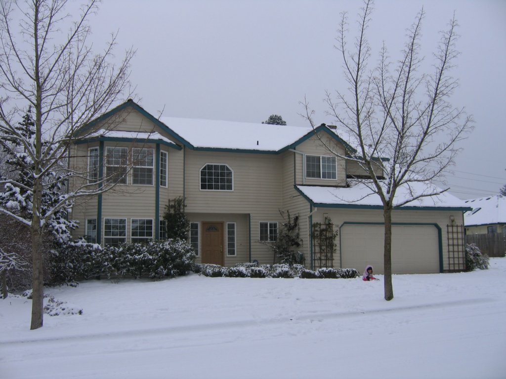 wegotlotsofsnowonourstreet.jpg