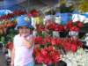 allyatthemarket_small.jpg