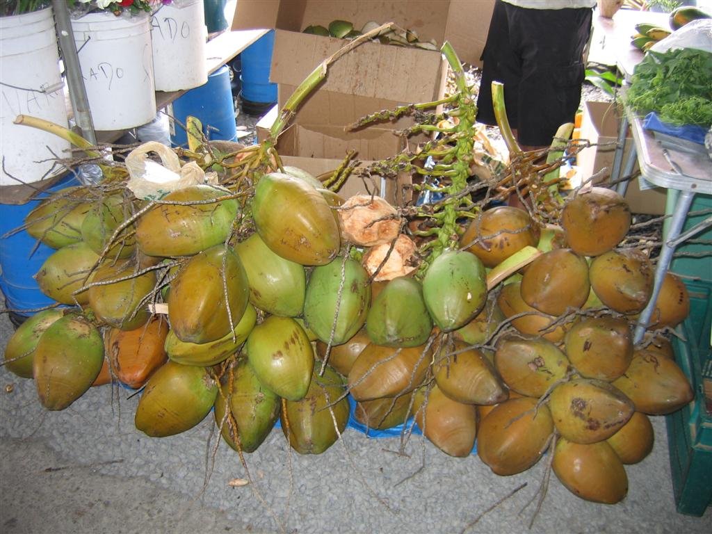 coconutsatthemarket.jpg