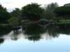 distantview_small.jpg