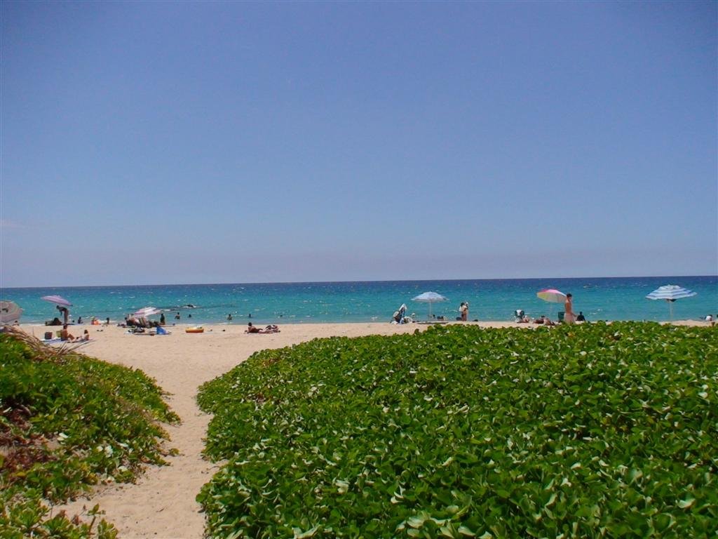 hapunabeachfromadistance.jpg
