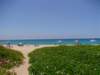 hapunabeachfromadistance_small.jpg