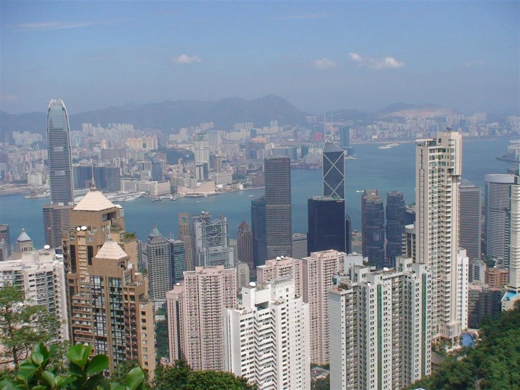 lotsofskyscrapers.jpg