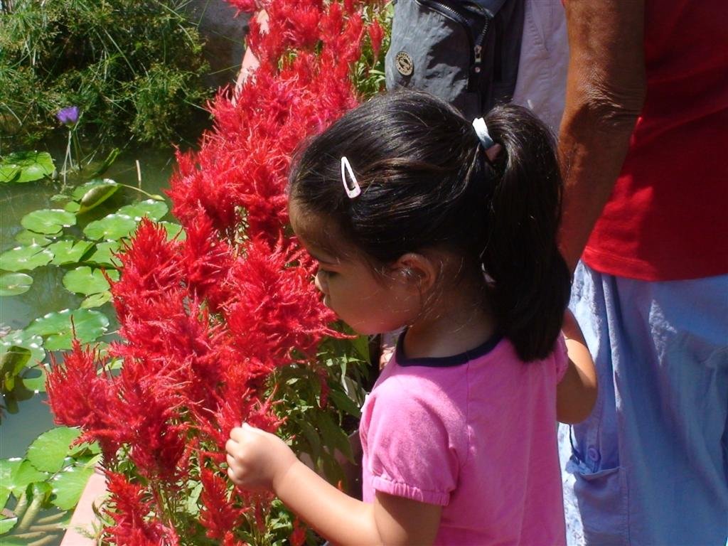 allyinspectstheflower.jpg