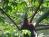 itsalwaysscarywhenbirdslookatyou_small.jpg
