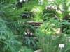 theparkhadsomeverynicevegetationexhibits_small.jpg