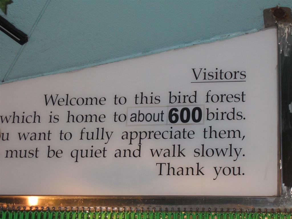 therewereoriginally601birdsattheparkbutweaccidentallyletoneoutsotheyhadtofixthesignjustkidding.jpg