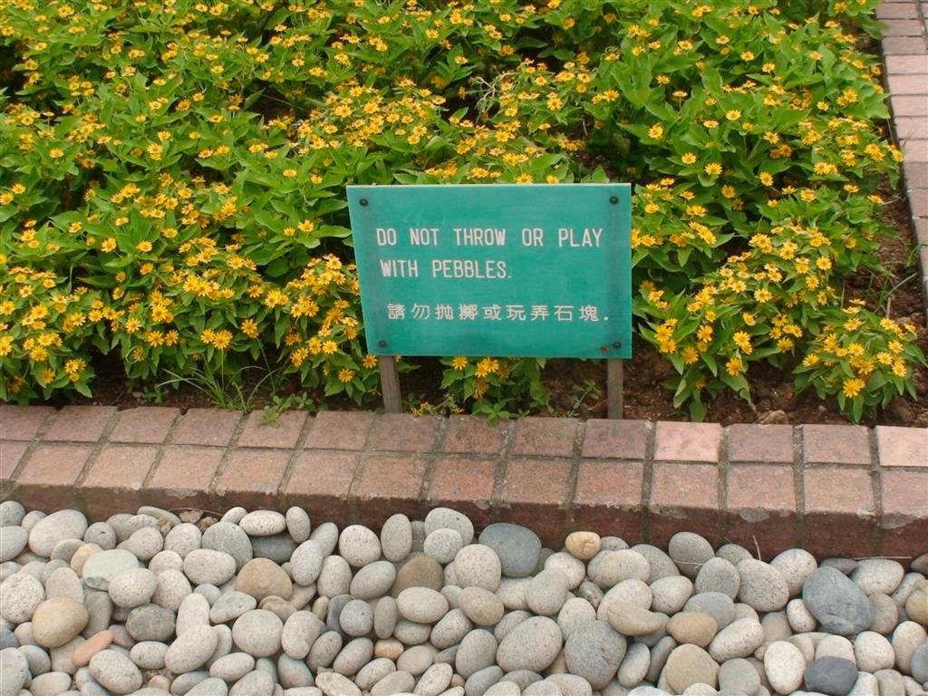 pebblescanbequitelargeinhk.jpg