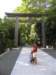 wechanceduponasmallshrineinharajuku_small.jpg