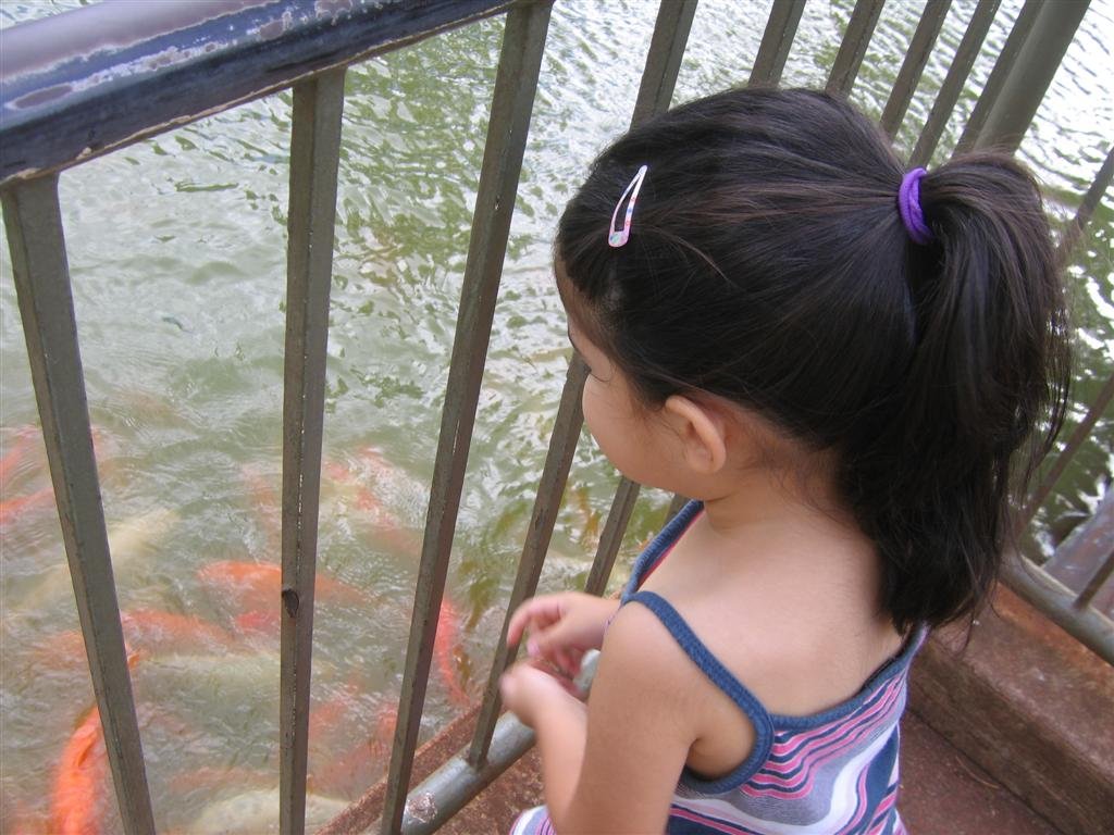 allyfeedsthefish.jpg