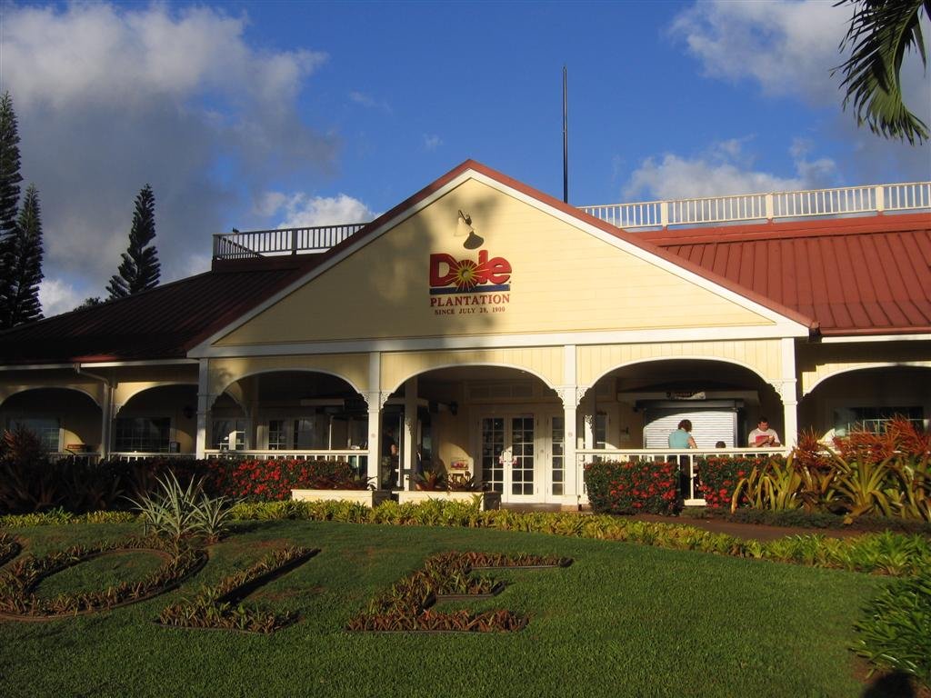 thedolepineappleplantation.jpg