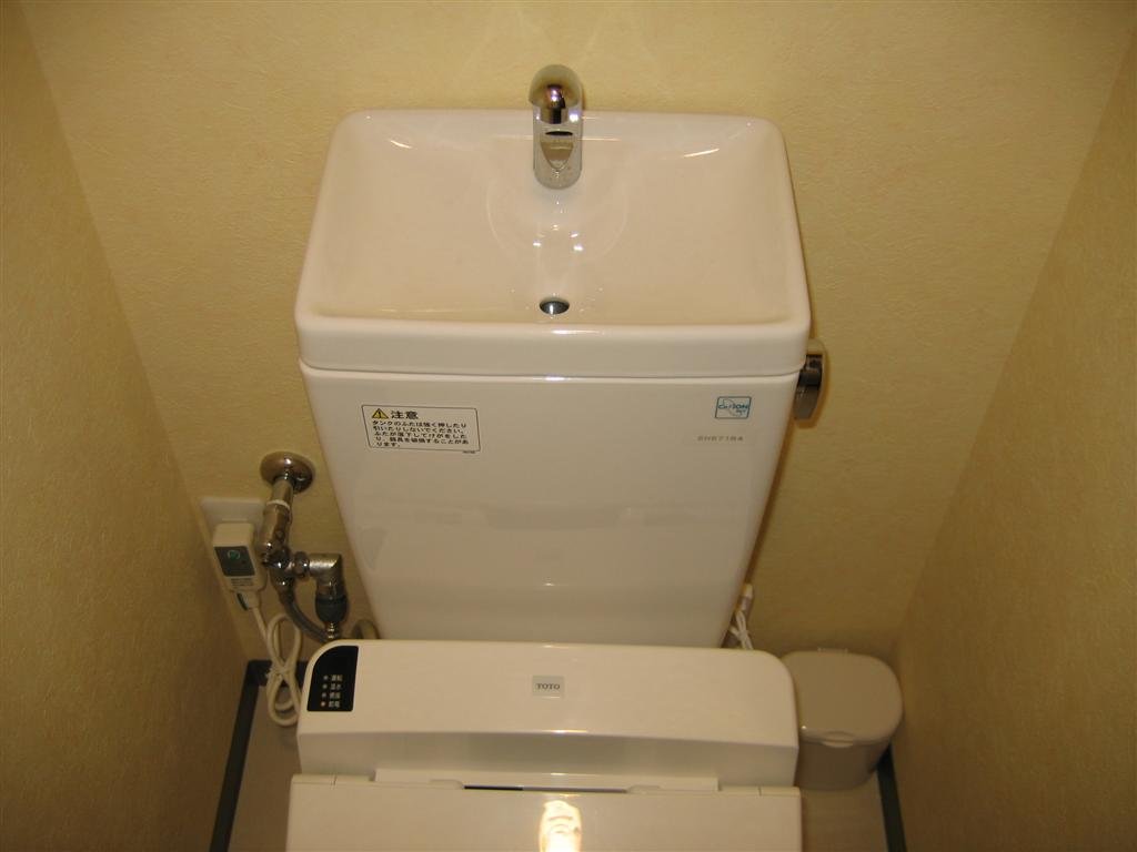 ontopofthetoiletthereisasink.jpg