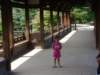 allyonthebridge_small.jpg