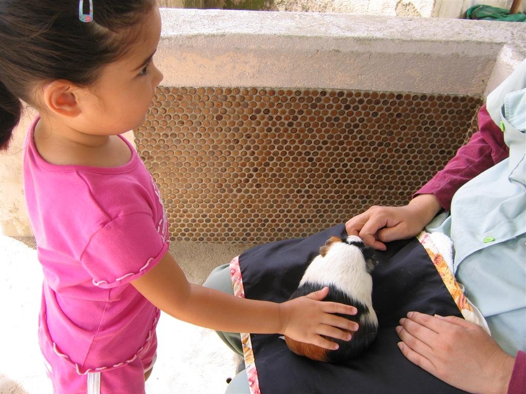 allypetsaguineapigatthepettingzoo.jpg
