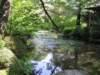 atranquilwaterscene_small.jpg