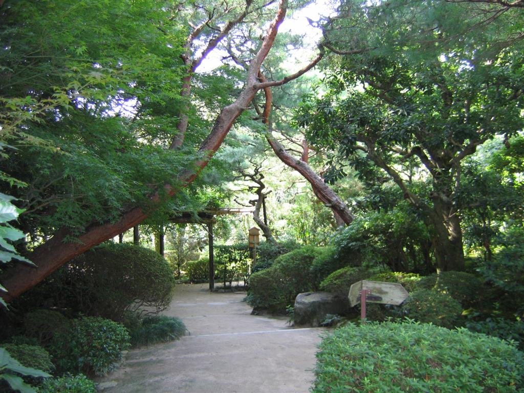 intersectingtrees.jpg