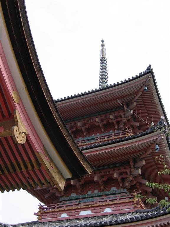 lookingupatthetemple.jpg