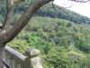 thehikegoesthroughthisarea_small.jpg