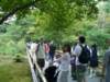 brianandhelenatkinkakuji_small.jpg