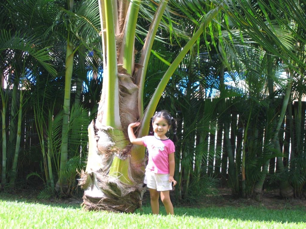 allyandthetree.jpg