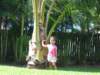 allyandthetree_small.jpg