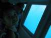wetookaglassbottomboattourinthelahainaharborwesawagiantturtleandlotsoffishbrianfoundoutthathegetsseasickquiteeasilyandwasntabletostaybelowforabouthalfthetrip_small.jpg