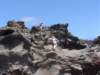 hikingbackupthisisntforpeoplewhoeasilytwisttheirancles_small.jpg