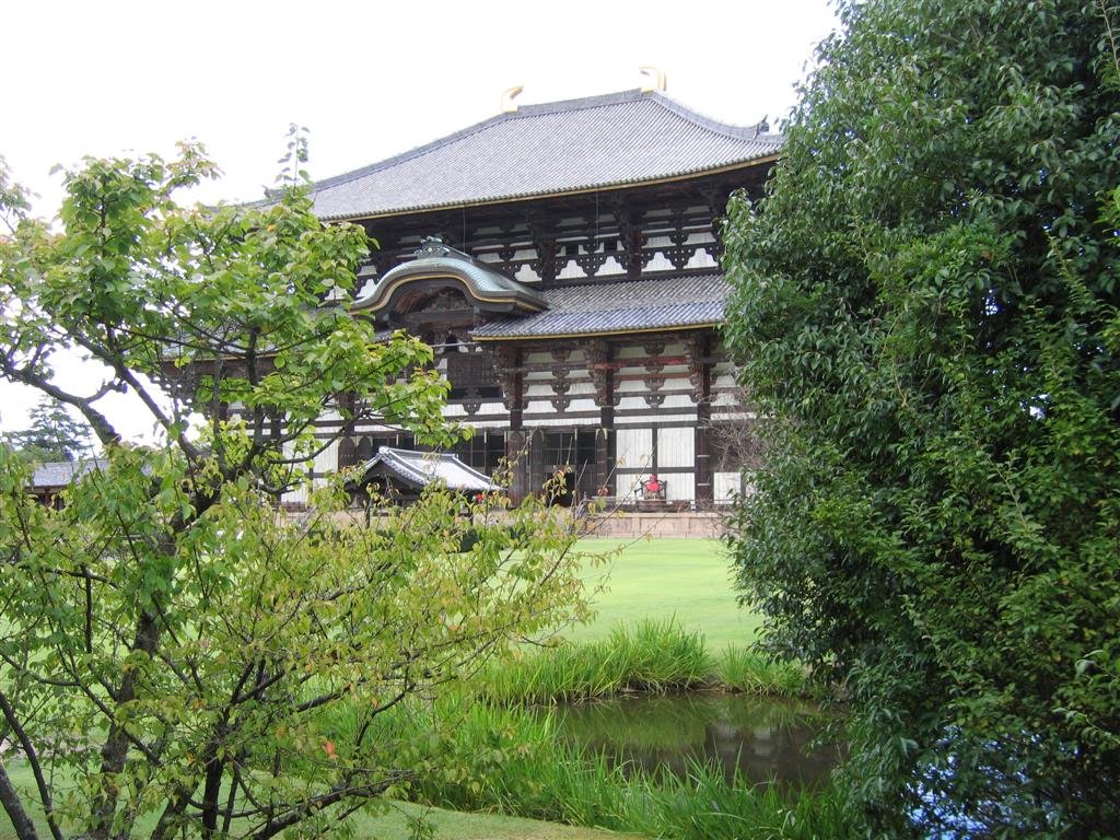 todaijithroughthetrees.jpg