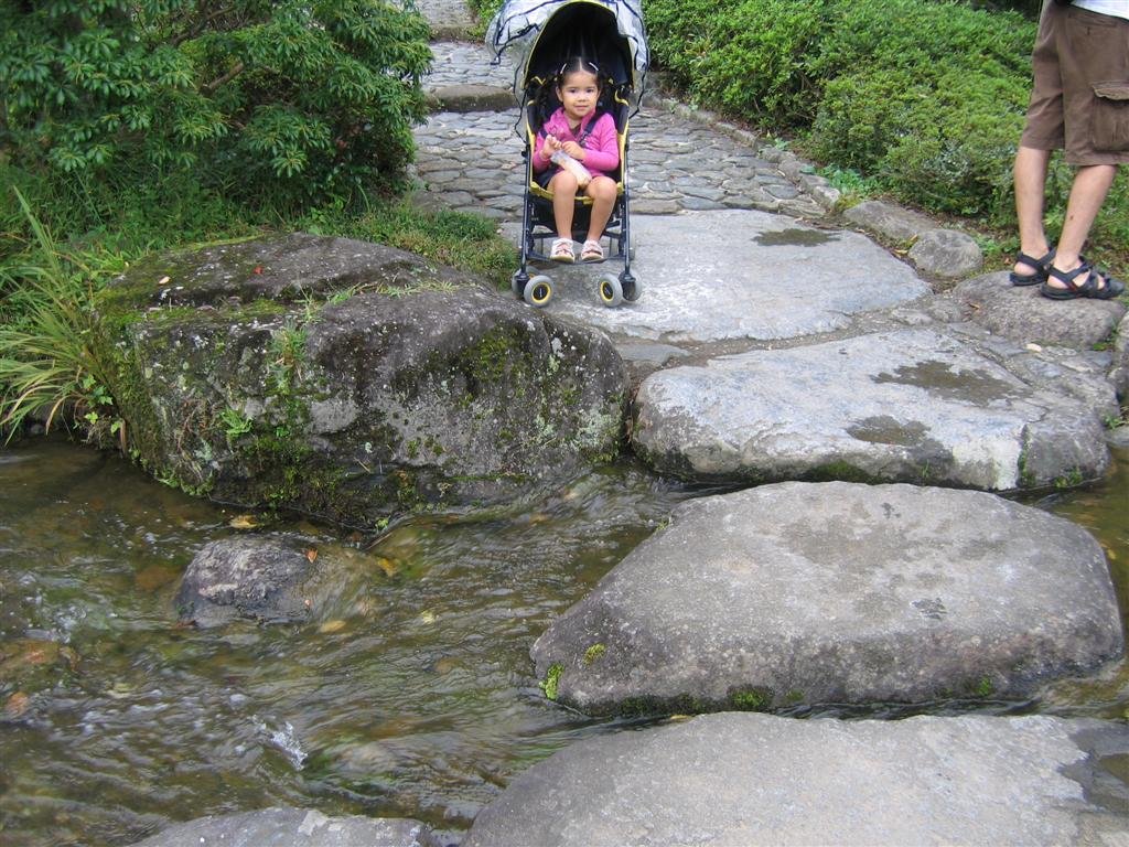 allyinherstroller.jpg