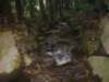 waterflowing_small.jpg