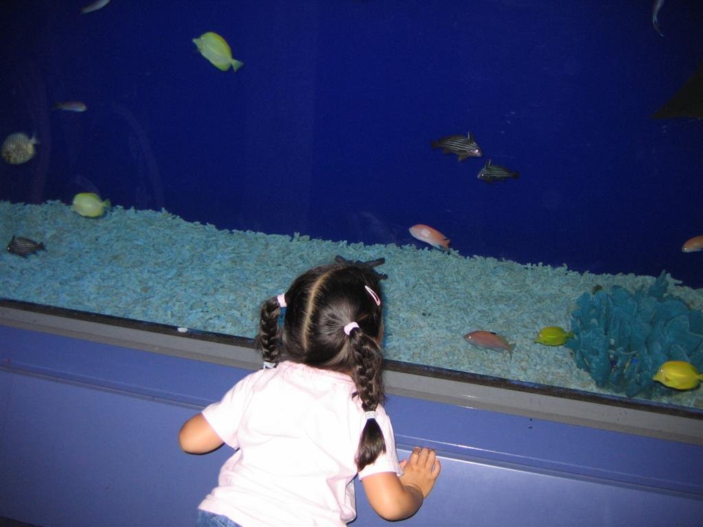 allyexaminesthefish.jpg