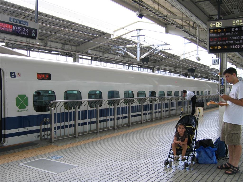 anozomibullettrainwhichisthefastesttrainaroundtheyreportedlyreachspeedsof186mphwhichisprettyfastmoreinfohttpenwikipediaorgwikinozomi_shinkansen.jpg