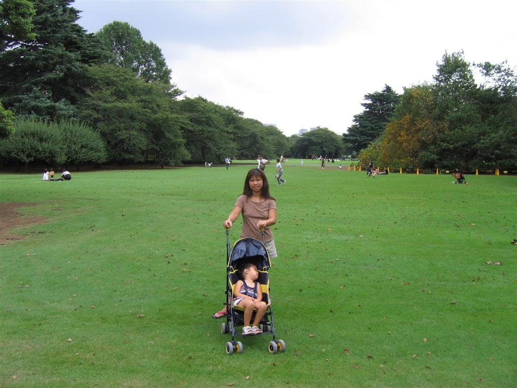 wegotoshinjukugyoenthisisahugesprawlingparkwithalakegardensandlotsofgreenery.jpg
