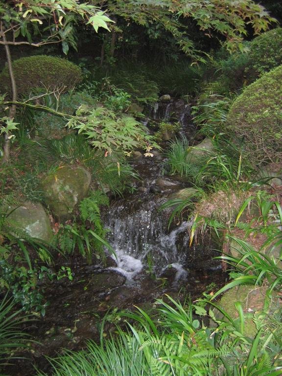 alittlewaterfall.jpg
