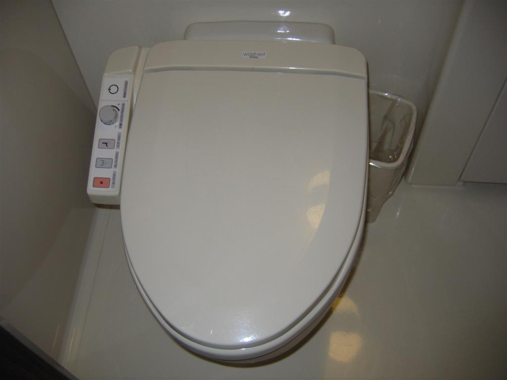 theinfamoustokyotoiletwithitsdizzingarrayofcleaningoptionsandastandbymode.jpg