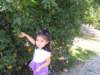 allygetssomefruit_small.jpg