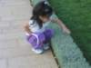 allyinspectsabush_small.jpg