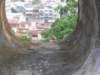 abirdenjoystheview_small.jpg