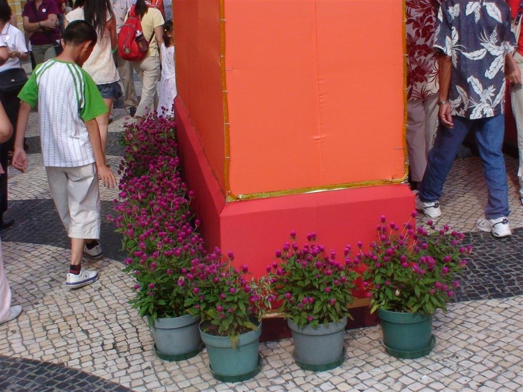 flowersbelowthegate.jpg