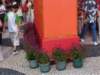 flowersbelowthegate_small.jpg