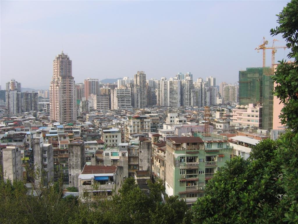 lookingdownatthecity.jpg